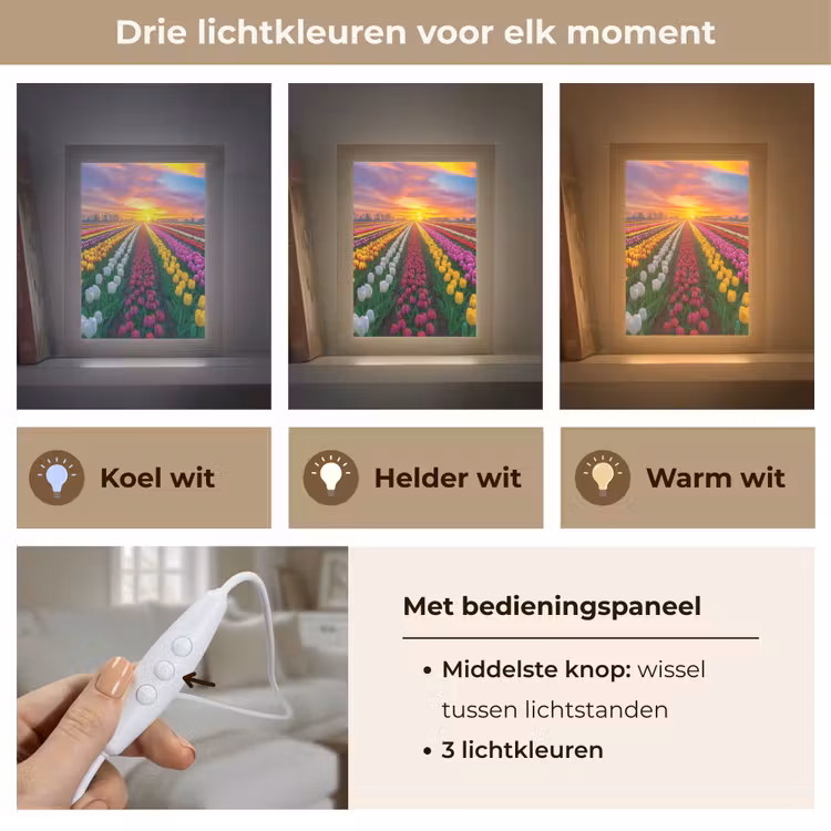 Tulpenveld - Zonsondergang - Kleurrijk Light Box met kabel (Tafellamp) klein -USP_lichtkleurNL
