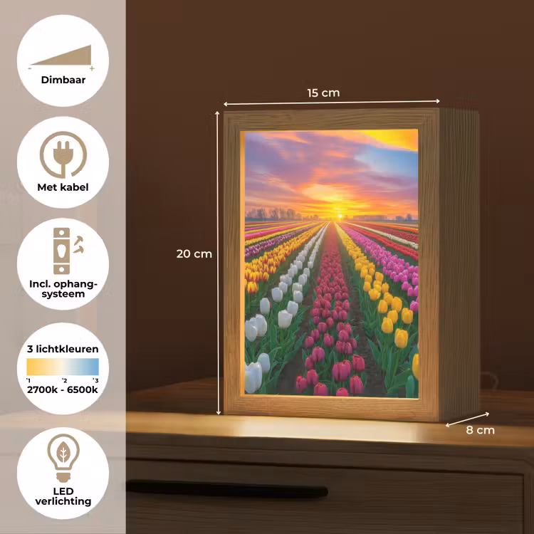 Tulpenveld - Zonsondergang - Kleurrijk Light Box met kabel (Tafellamp) klein -USP_NL