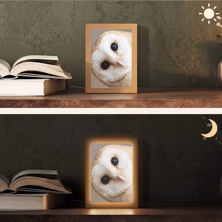 Uil - Bruin - Wit Light Box met kabel (Tafellamp) klein -sfeer3