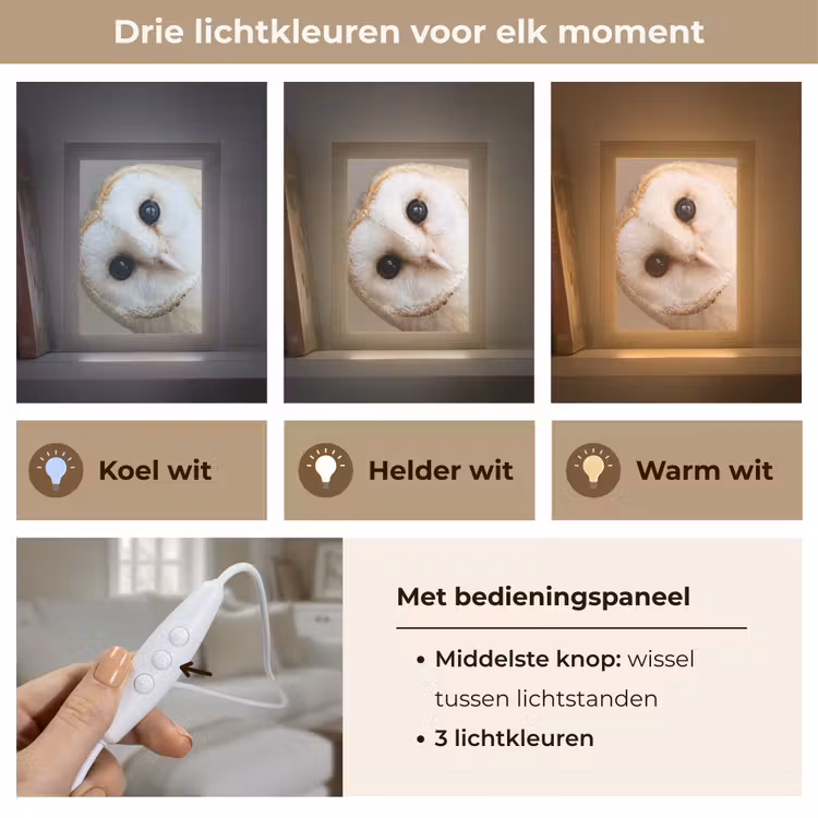 Uil - Bruin - Wit Light Box met kabel (Tafellamp) klein -USP_lichtkleurNL