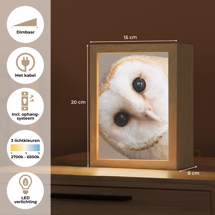 Uil - Bruin - Wit Light Box met kabel (Tafellamp) klein -USP_NL