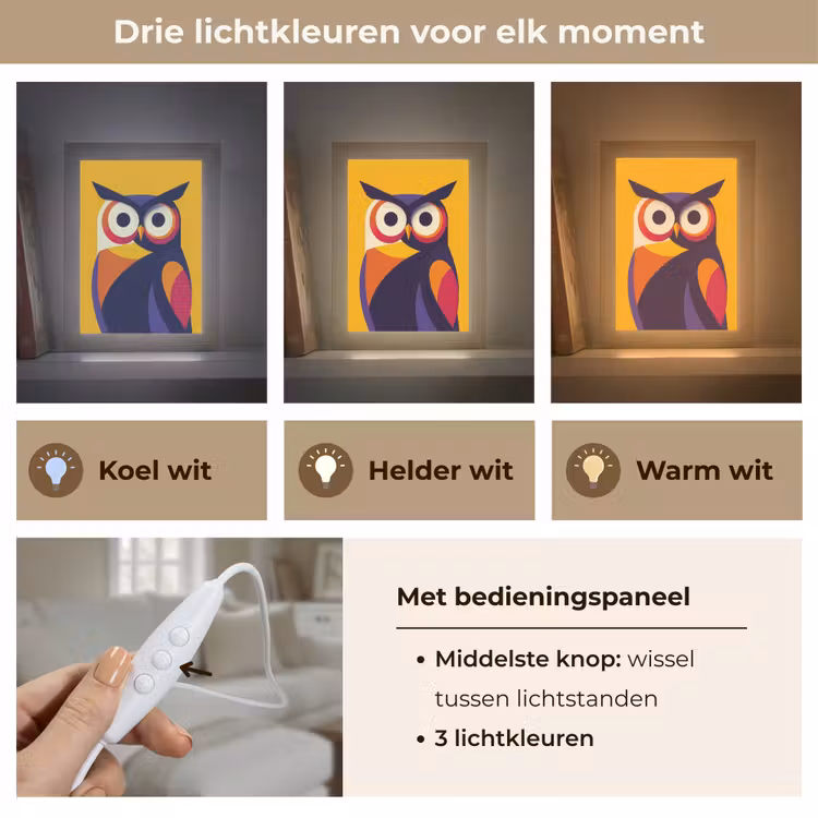 Uil - Grafisch - Kleurrijk - Ogen Light Box met kabel (Tafellamp) klein -USP_lichtkleurNL