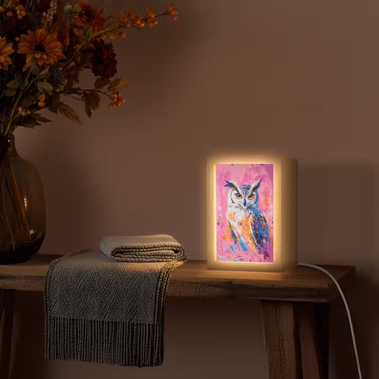 Uil - Roze - Blauw - Verf - Abstract Light Box met kabel (Tafellamp) klein -sfeer4