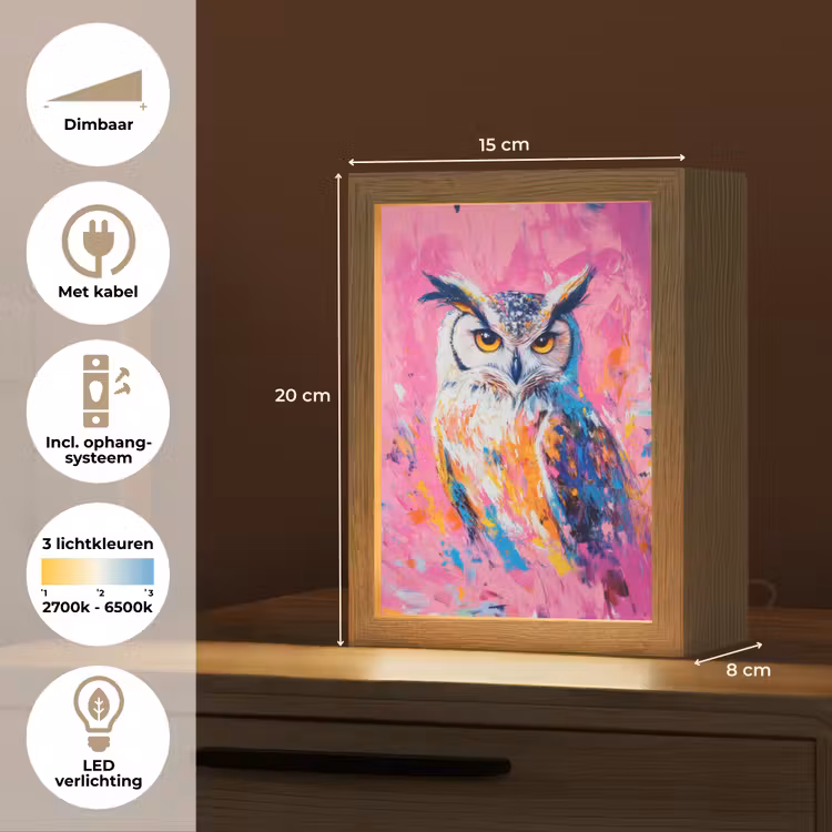 Uil - Roze - Blauw - Verf - Abstract Light Box met kabel (Tafellamp) klein -USP_NL
