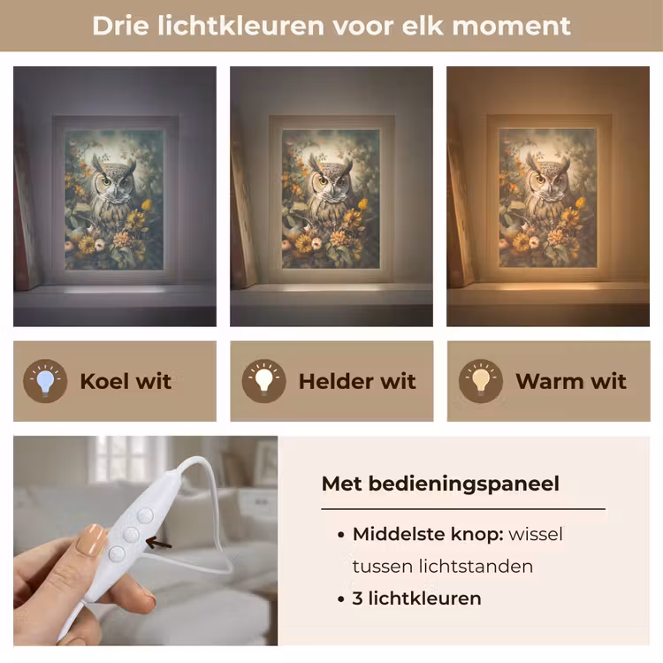 Uil - Vogels - Bloemen - Natuur Light Box met kabel (Tafellamp) klein -USP_lichtkleurNL