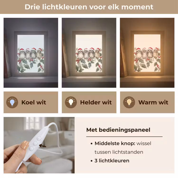 Uilen - Tak - Hulstblaadjes - Kerstmuts Light Box met kabel (Tafellamp) klein -USP_lichtkleurNL