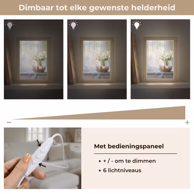 Vaas - Eieren - Bloemen Light Box met kabel (Tafellamp) klein -USP_dimbaarNL