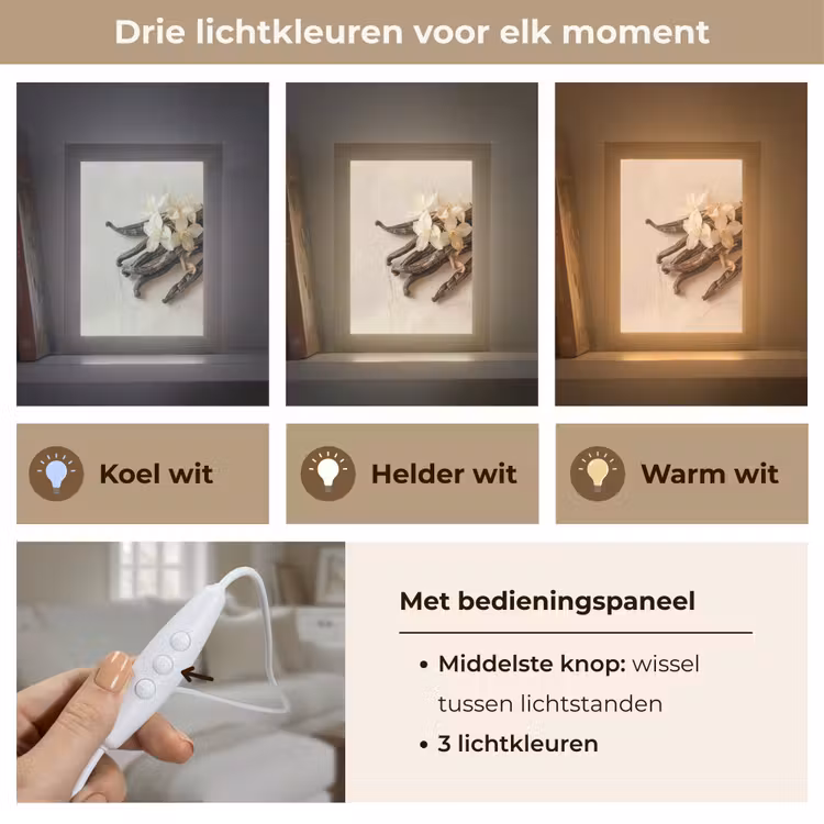 Vanille - Bloemen - Beige Light Box met kabel (Tafellamp) klein -USP_lichtkleurNL