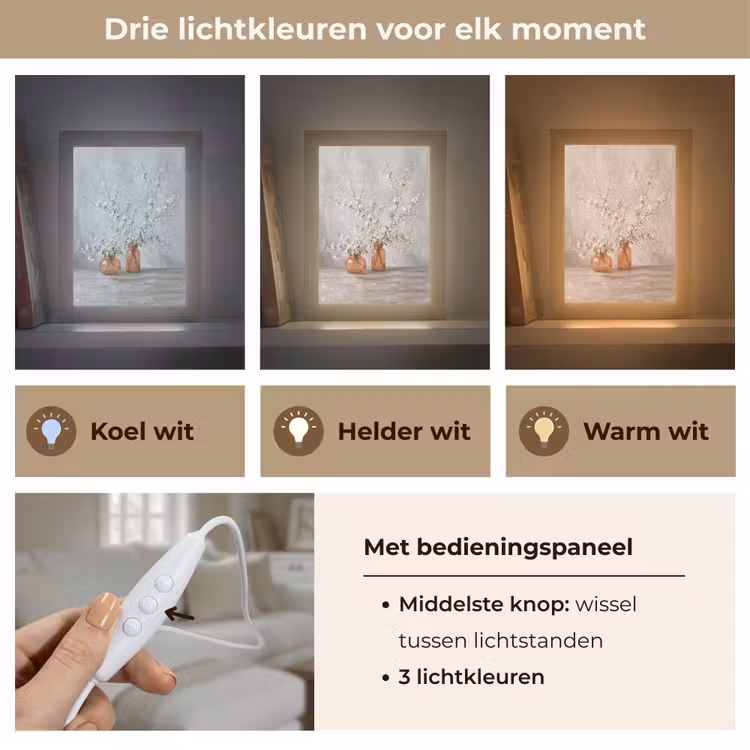 Vazen - Bloemen - Oranje Light Box met kabel (Tafellamp) klein -USP_lichtkleurNL