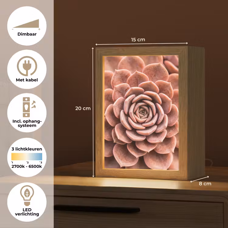 Vetplant - Organisch - Roze Light Box met kabel (Tafellamp) klein -USP_NL