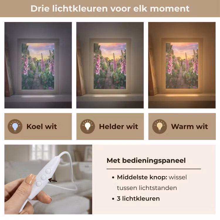 Vingerhoedskruid - Bloemen - Tuin Light Box met kabel (Tafellamp) klein -USP_lichtkleurNL