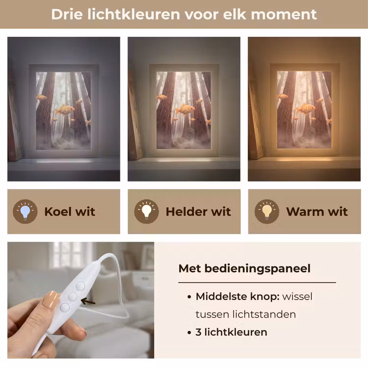 Tafellamp - Vis - Bos - Fantasie - Vis - Bos - Fantasie Light Box met kabel (Tafellamp) klein