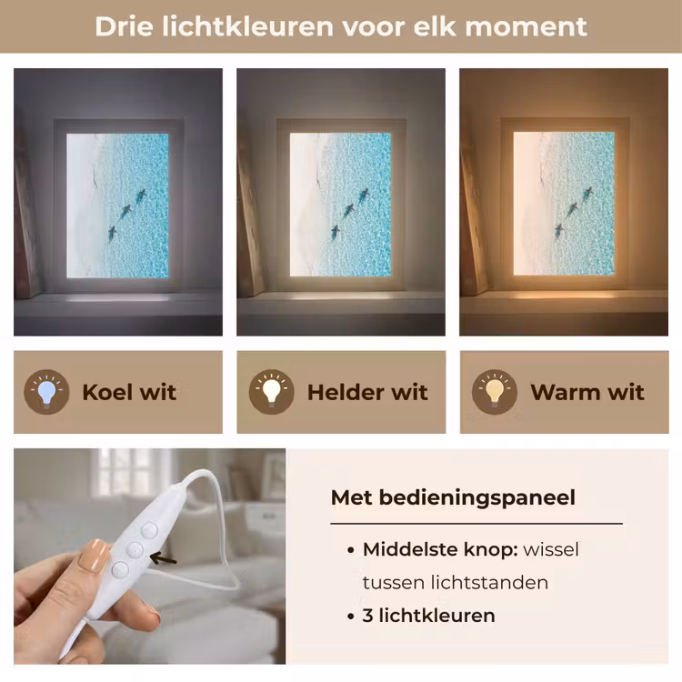 Vis - Oceaan - Strand - Turquoise - Natuur Light Box met kabel (Tafellamp) klein -USP_lichtkleurNL