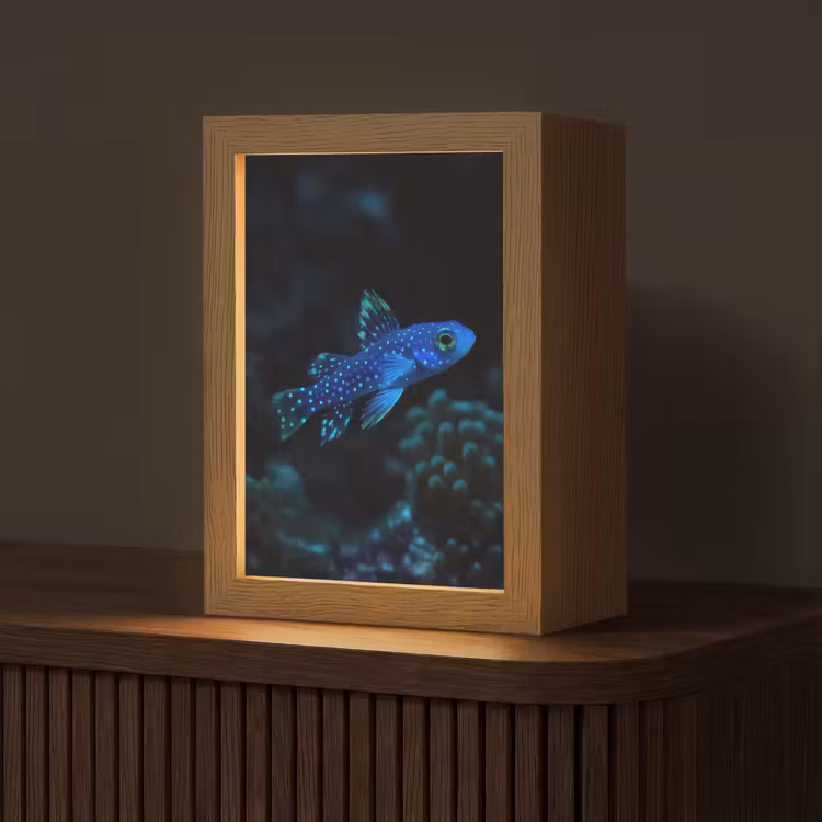 Vis - Stippen - Koraal - Blauw Light Box met kabel (Tafellamp) klein -z3d_website