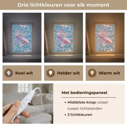 Vis - Water - Blauw - Licht Light Box met kabel (Tafellamp) klein -USP_lichtkleurNL