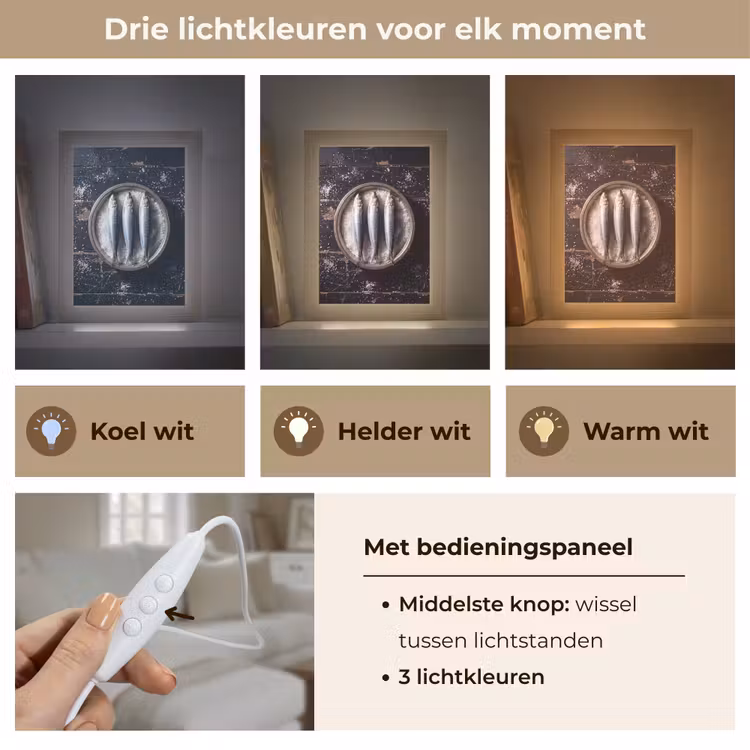 Tafellamp - Vis - Zout - Eten - Vis - Zout - Eten Light Box met kabel (Tafellamp) klein