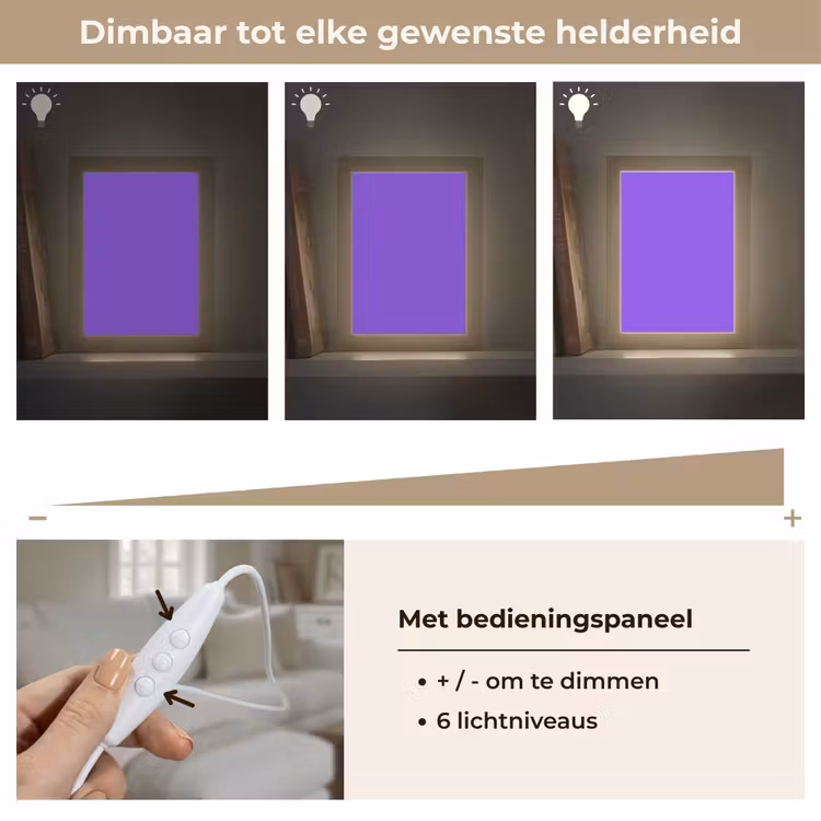 Vivid - Violet - Paars Light Box met kabel (Tafellamp) klein 925 -USP_dimbaarNL