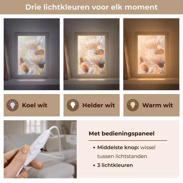 Vlinder - Bloem - Oranje Light Box met kabel (Tafellamp) klein -USP_lichtkleurNL
