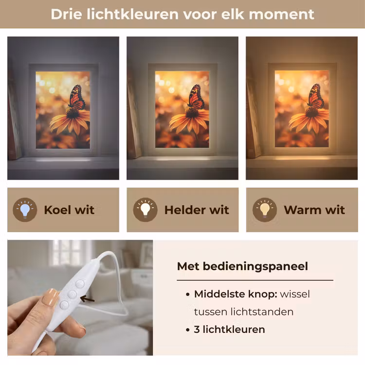 Vlinder - Bloemen - Oranje Light Box met kabel (Tafellamp) klein -USP_lichtkleurNL