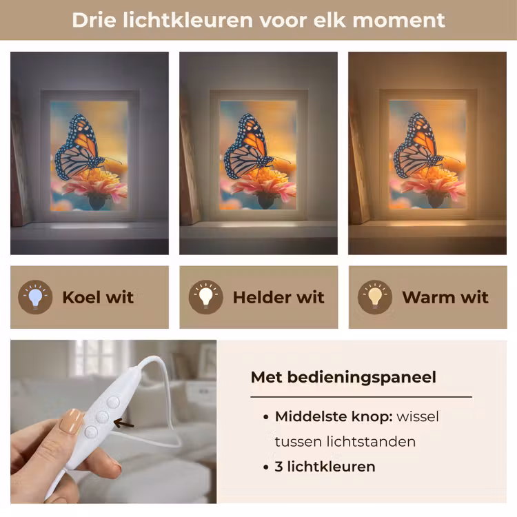 Vlinder - Dieren - Kleurrijk - Natuur - Bloemen Light Box met kabel (Tafellamp) klein -USP_lichtkleurNL