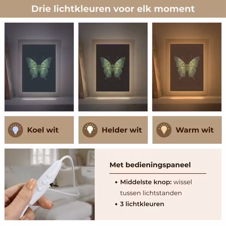 Vlinder - Groen - Diepte Light Box met kabel (Tafellamp) klein -USP_lichtkleurNL