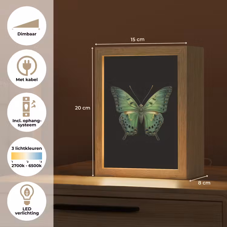 Vlinder - Groen - Diepte Light Box met kabel (Tafellamp) klein -USP_NL