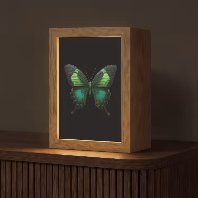 Vlinder - Groen - Opvallend Light Box met kabel (Tafellamp) klein -z3d_website