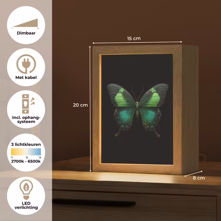 Vlinder - Groen - Opvallend Light Box met kabel (Tafellamp) klein -USP_NL
