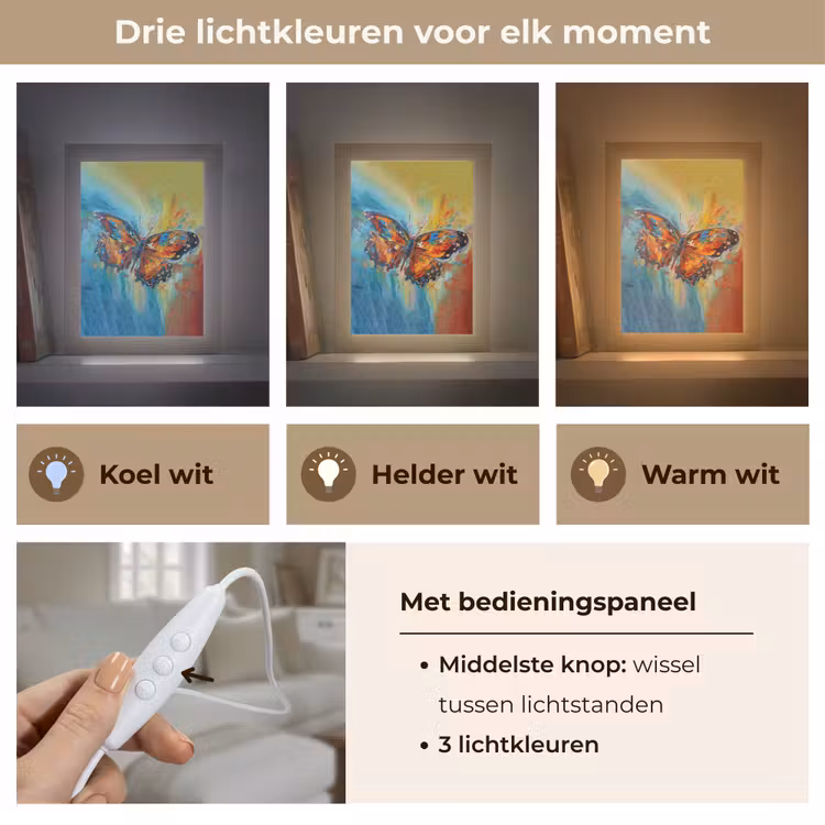 Vlinder - Kleuren - Kunst - Schilderij Light Box met kabel (Tafellamp) klein -USP_lichtkleurNL