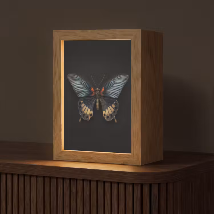 Vlinder - Metaalachtig - Geometrisch patroon Light Box met kabel (Tafellamp) klein -z3d_website