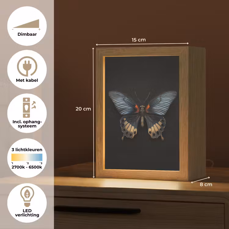 Vlinder - Metaalachtig - Geometrisch patroon Light Box met kabel (Tafellamp) klein -USP_NL