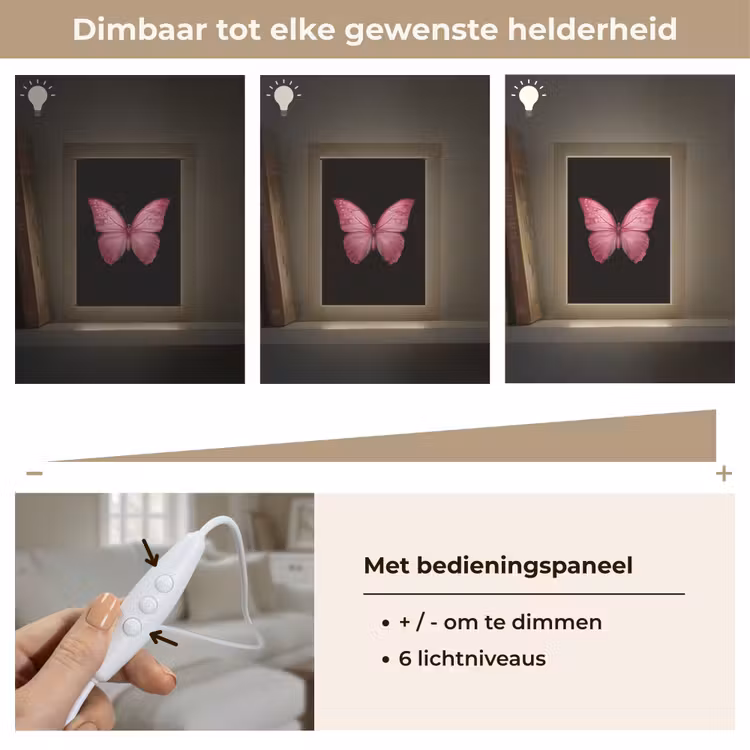 Vlinder - roze - Elegant Light Box met kabel (Tafellamp) klein -USP_dimbaarNL