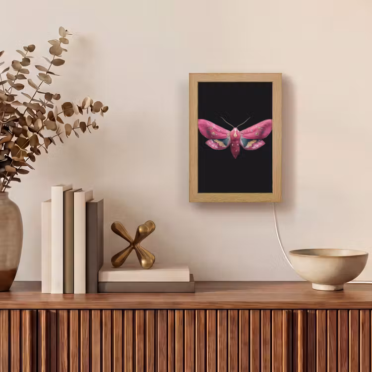 Vlinder - Roze - Nachtvlinder Light Box met kabel (Tafellamp) klein -sfeer2