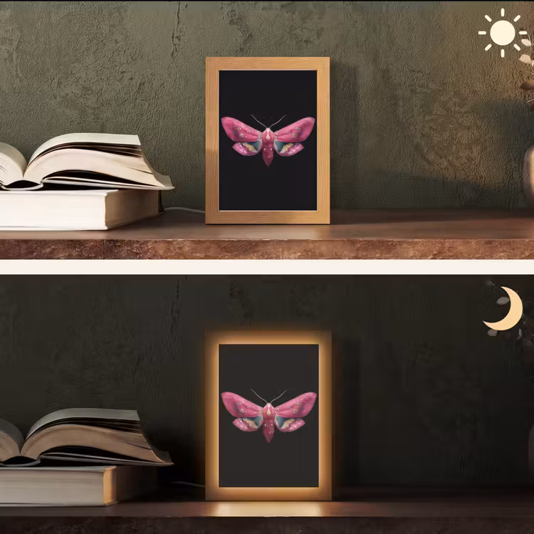Vlinder - Roze - Nachtvlinder Light Box met kabel (Tafellamp) klein -sfeer3