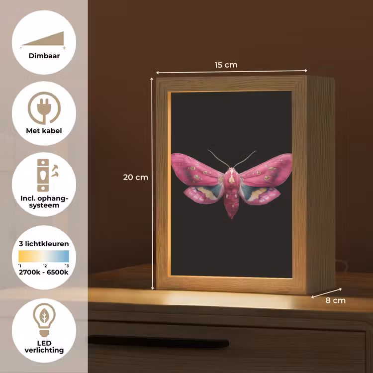 Vlinder - Roze - Nachtvlinder Light Box met kabel (Tafellamp) klein -USP_NL