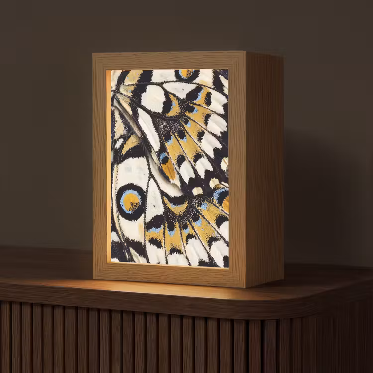 Vlinder - Vleugel - Geel Light Box met kabel (Tafellamp) klein -z3d_website