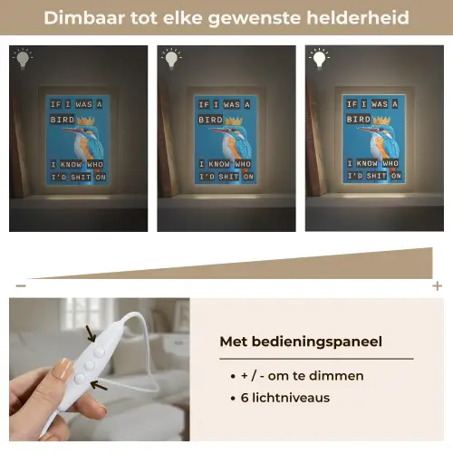 Vogel - Decoratie - Ijsvogel - Blauw Light Box met kabel (Tafellamp) klein -USP_dimbaarNL