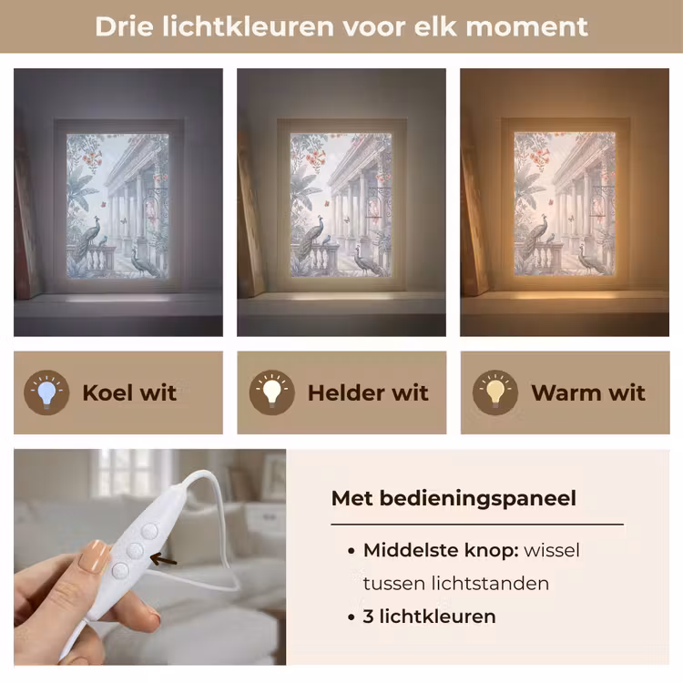 Vogel - Pauw - Architectuur - Klassiek - Groen Light Box met kabel (Tafellamp) klein -USP_lichtkleurNL