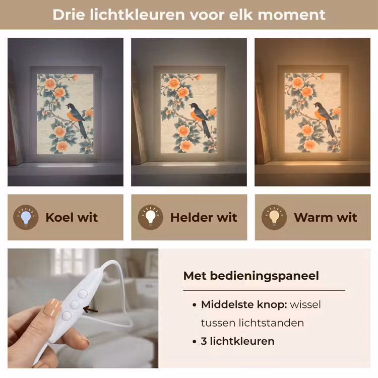 Vogel - Tak - Bloemen - Oranje Light Box met kabel (Tafellamp) klein -USP_lichtkleurNL