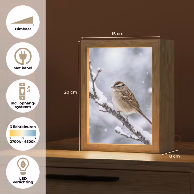 Vogel - Tak - Sneeuw - Winter Light Box met kabel (Tafellamp) klein -USP_NL