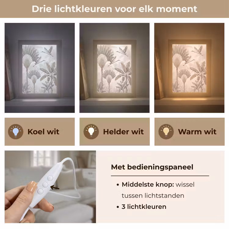 Vogel - Tropisch - Jungle - Natuur - Beige Light Box met kabel (Tafellamp) klein -USP_lichtkleurNL