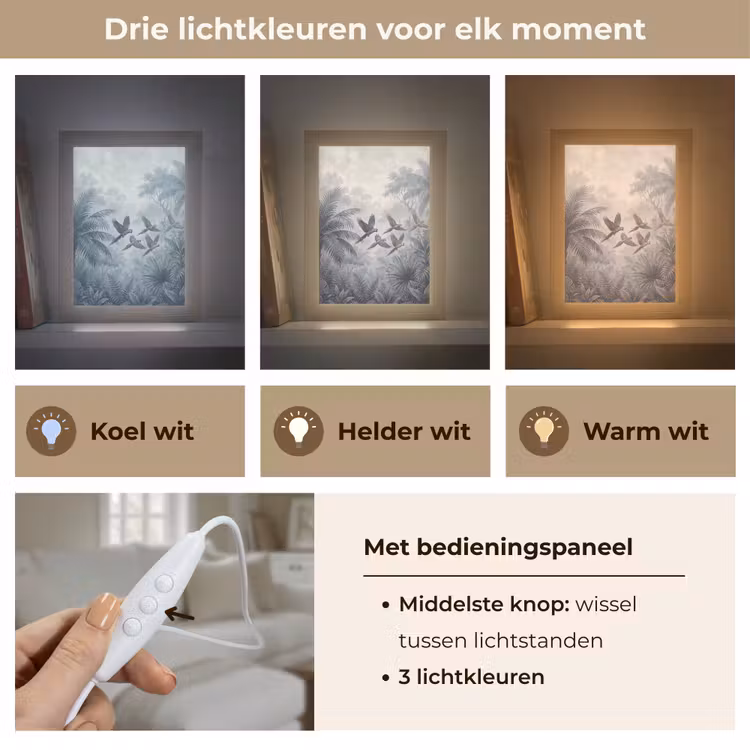 Vogel - Vliegend - Jungle - Vintage - Dieren Light Box met kabel (Tafellamp) klein -USP_lichtkleurNL
