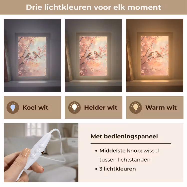 Vogels - Romantic - Bloesemtak Light Box met kabel (Tafellamp) klein -USP_lichtkleurNL