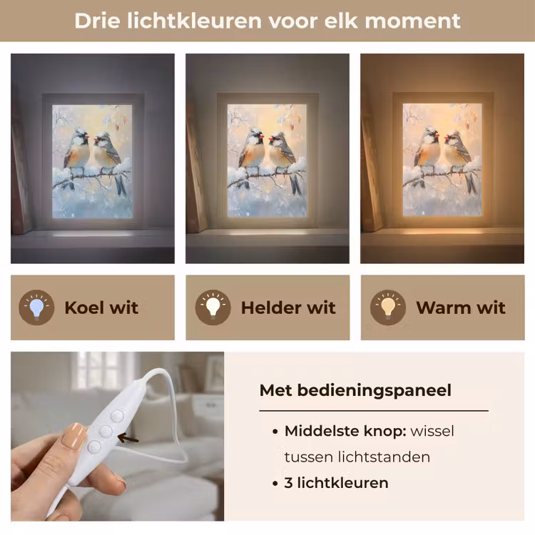 Vogels - Tak - Winter - Sneeuw Light Box met kabel (Tafellamp) klein -USP_lichtkleurNL