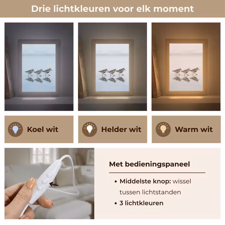 Vogels - Water - Grijs Light Box met kabel (Tafellamp) klein -USP_lichtkleurNL