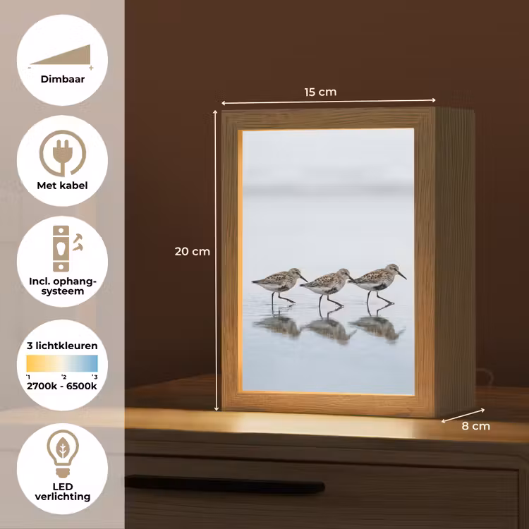 Vogels - Water - Grijs Light Box met kabel (Tafellamp) klein -USP_NL
