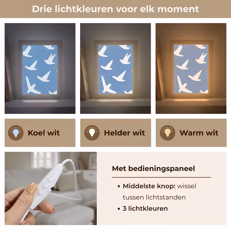 Vogels - Wit - Patroon Light Box met kabel (Tafellamp) klein -USP_lichtkleurNL