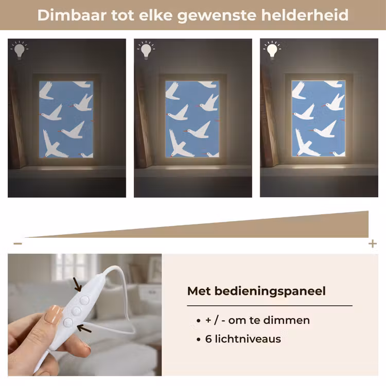 Vogels - Wit - Patroon Light Box met kabel (Tafellamp) klein -USP_dimbaarNL
