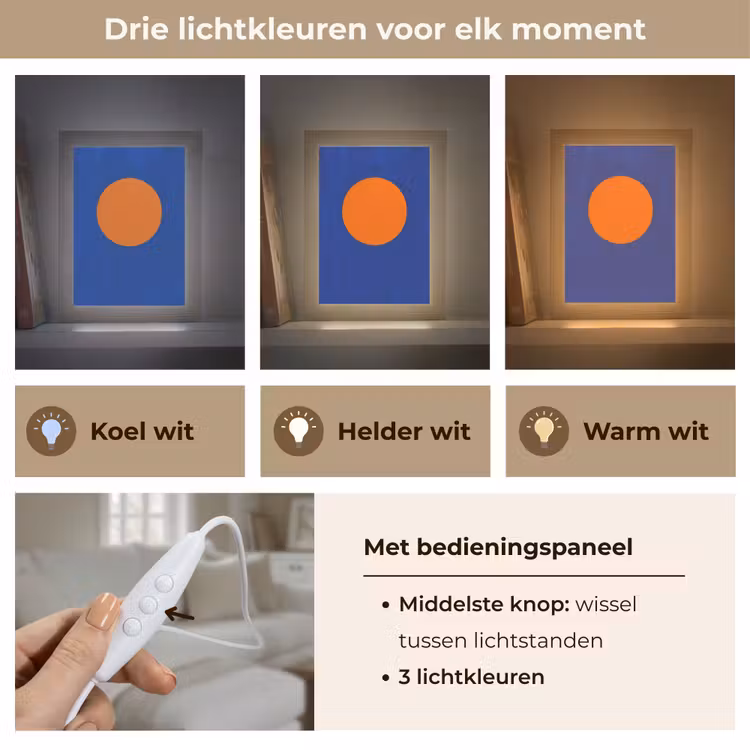 Vorm - Rond - Minimalistisch - Blauw Light Box met kabel (Tafellamp) klein -USP_lichtkleurNL