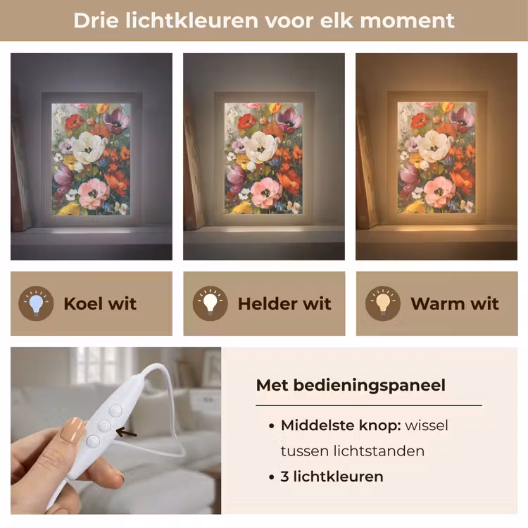 Vrolijk boeket - Dynamisch - Subtiele kleurspatten Light Box met kabel (Tafellamp) klein -USP_lichtkleurNL